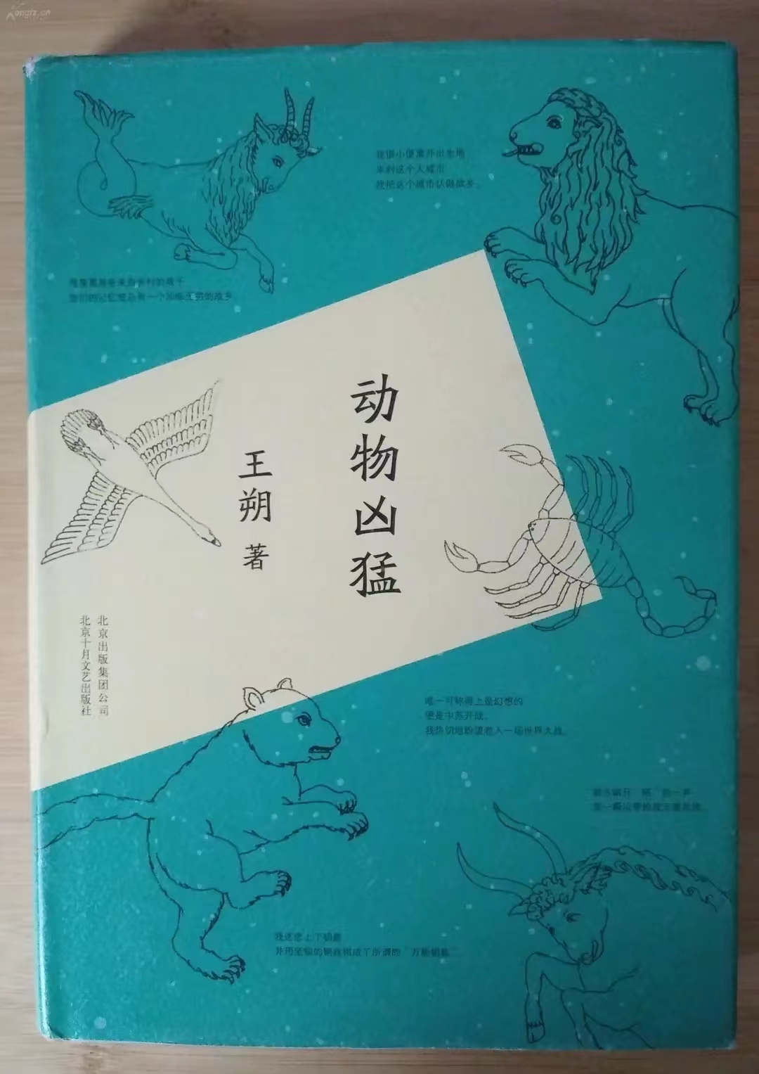 箕创文学沙龙第二期 | 文学中的青春