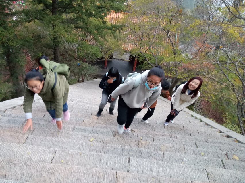 翠屏山青山屏翠,悬空寺古寺空悬——《山西的山》项目写作组赴恒山采风纪实